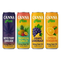 Canna Fizz 100MG Total THC | 85MG THC + 15MG CBD | 4-Pack |