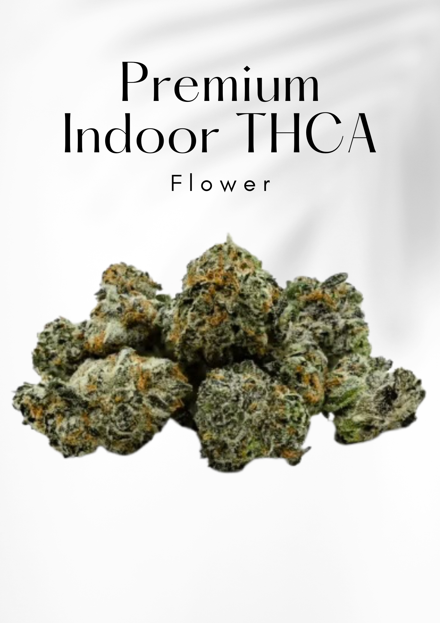 Bloom Stash Flower | Premium THC-A 2g | 30ct Jar |