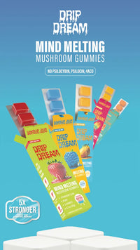 Drip Dream Mushroom Gummies | Mind Melting 5pk | 20ct Box