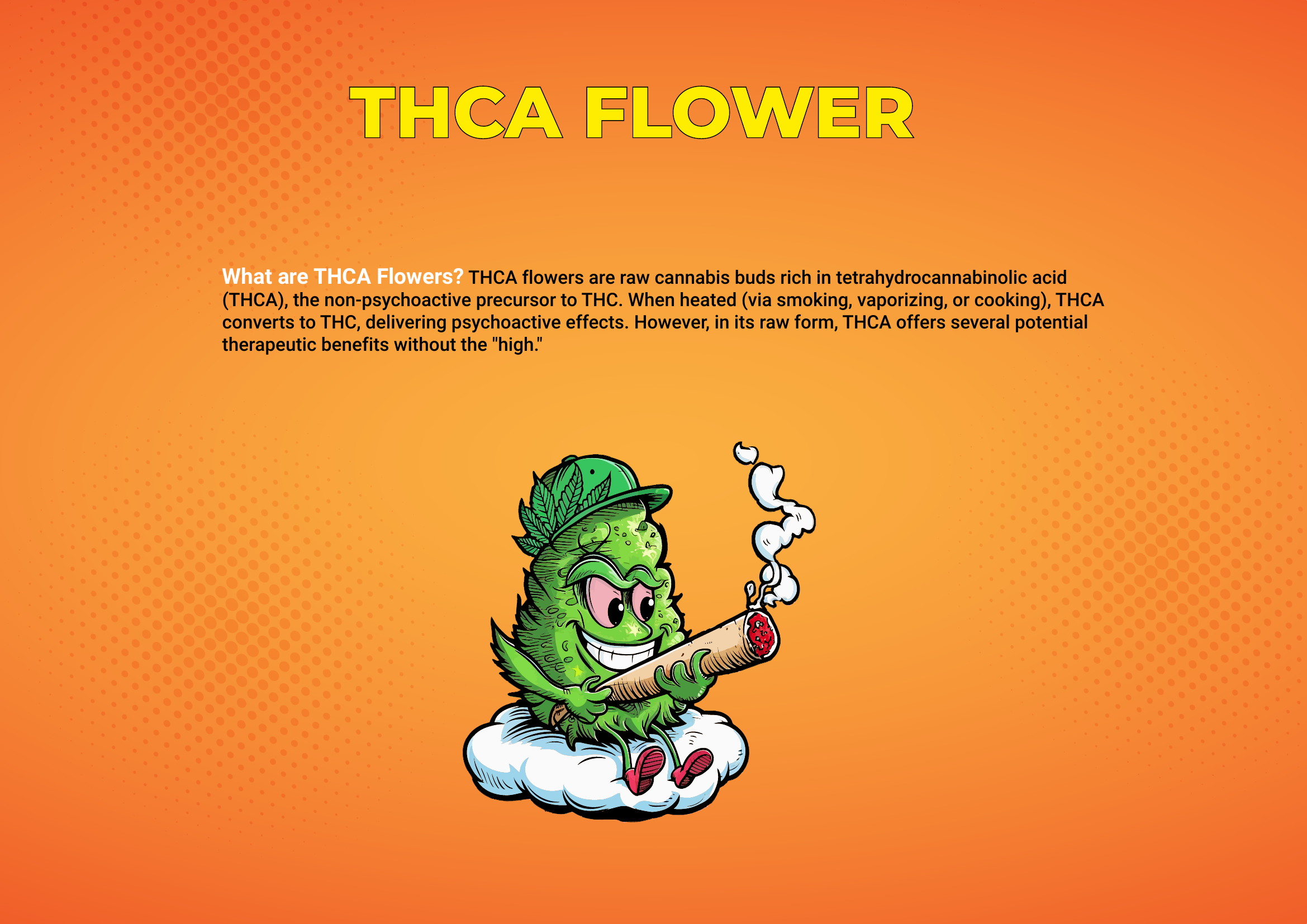 The Exotic Bud Flower | THC-A 4G |